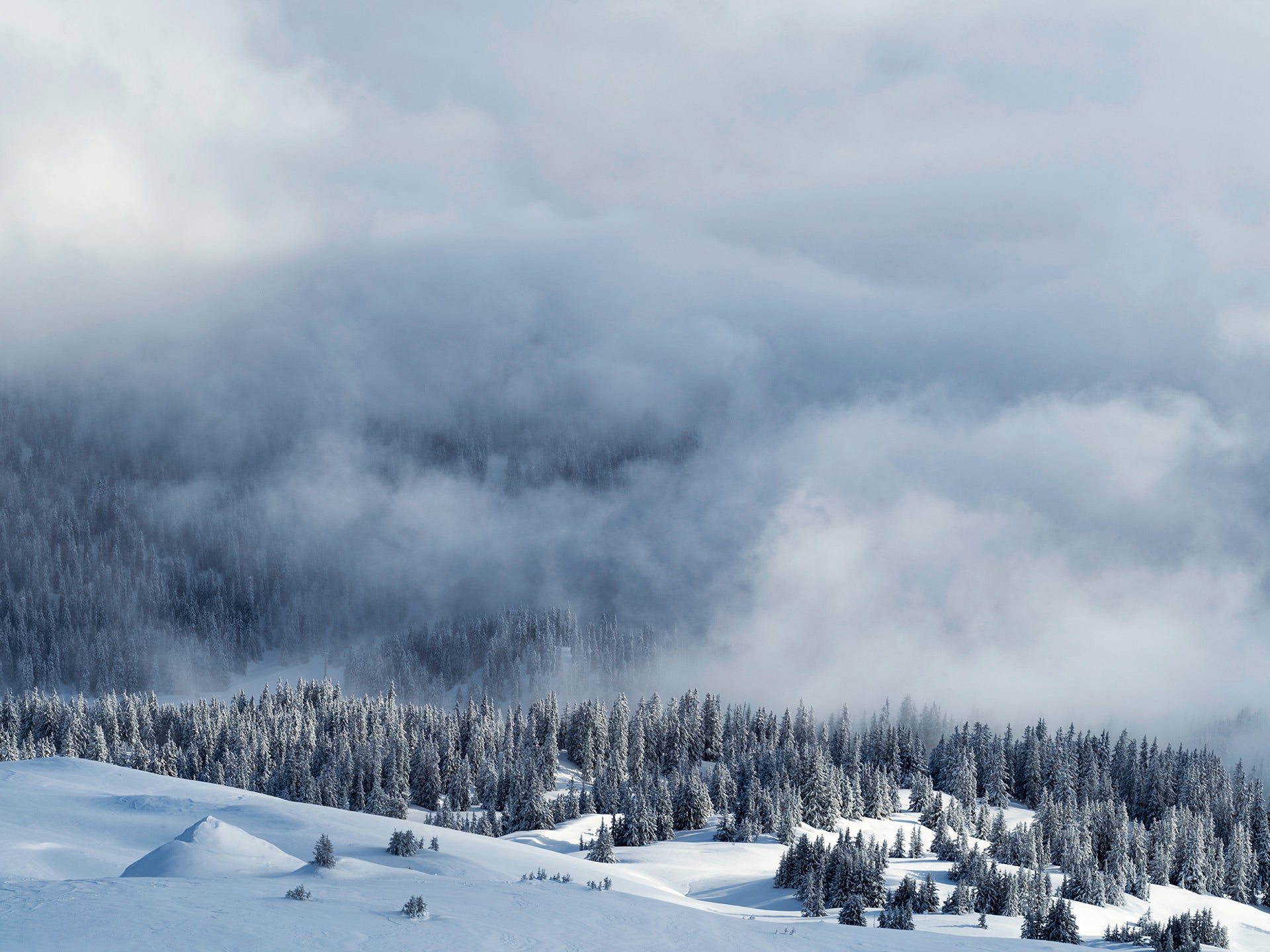 Special Winter Closing Sale. 65% OFF.