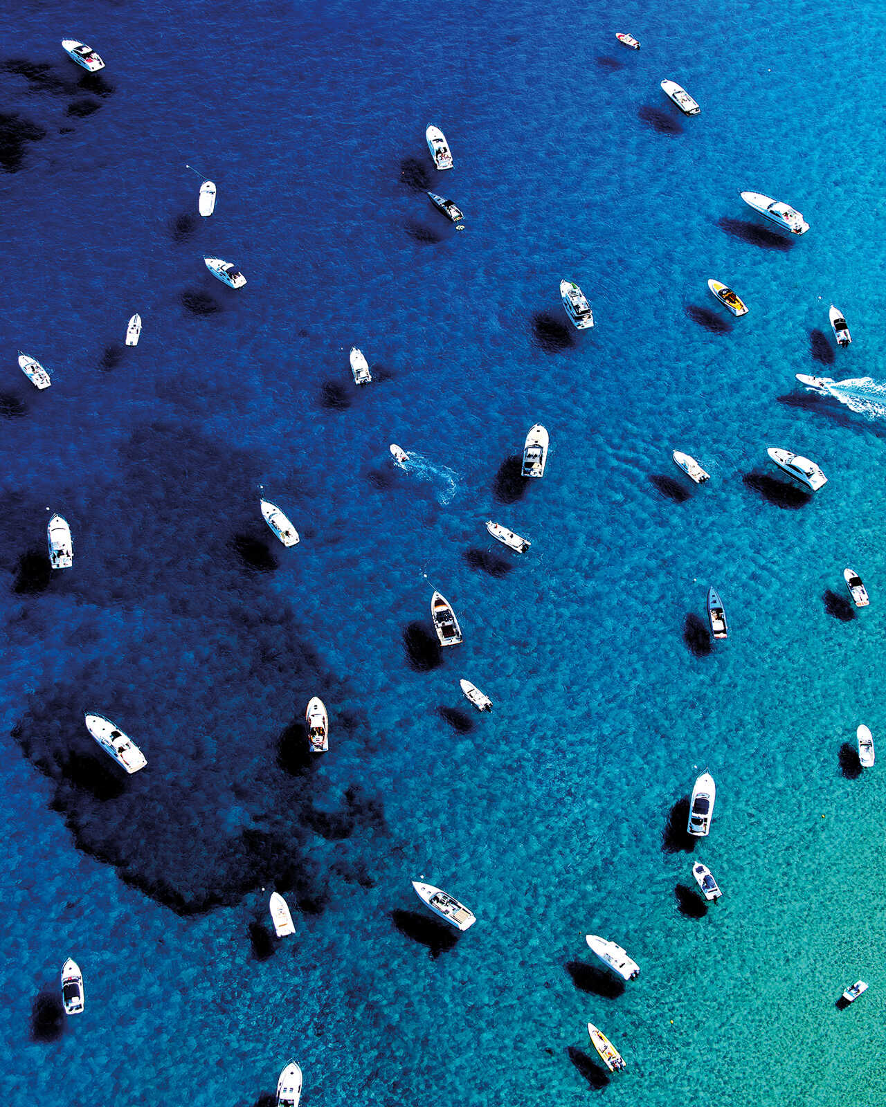 Wir wünschen Ihnen schöne Sommerferien // 26. Juli bis 21. August 2021