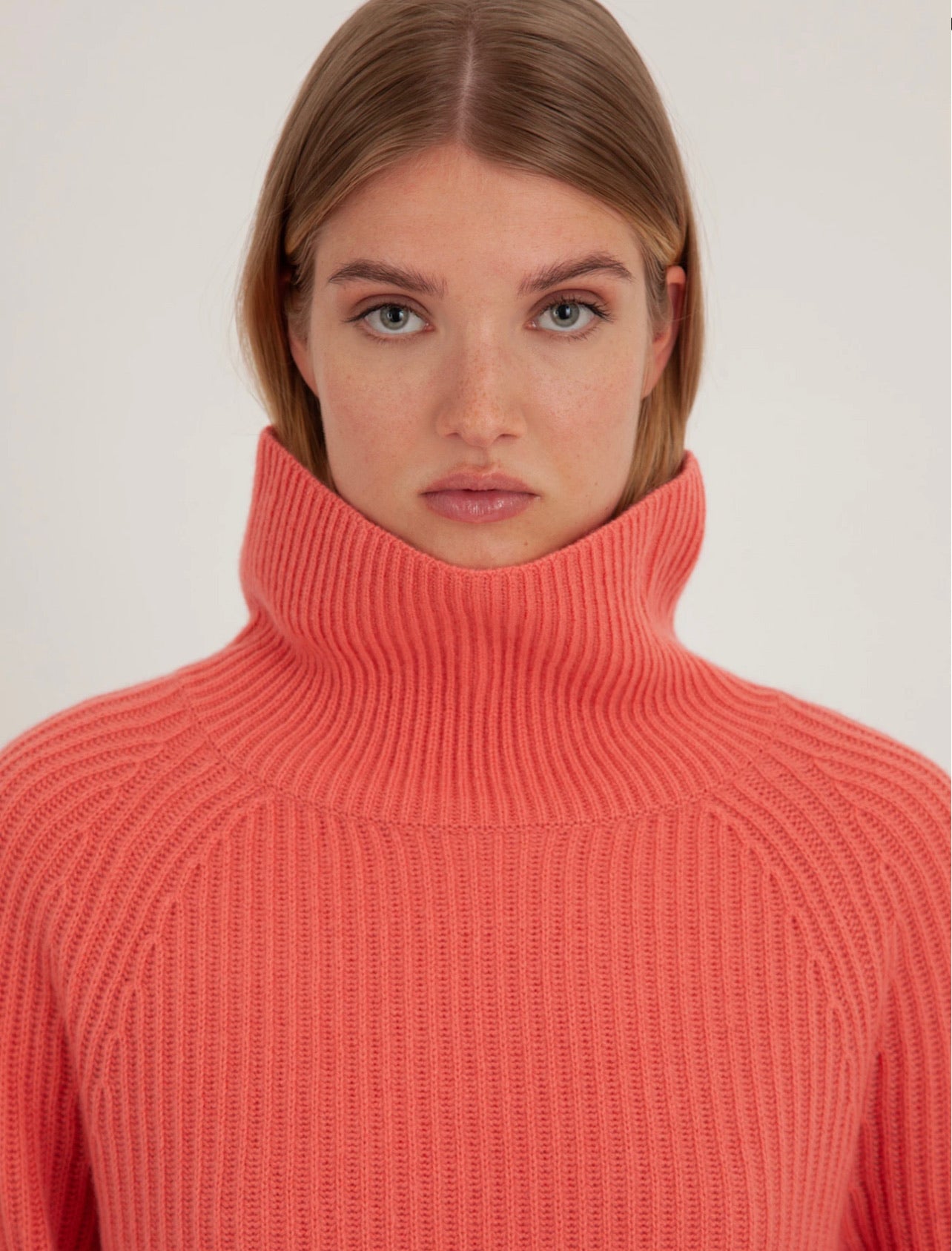 Cashmere Pullover Highneck