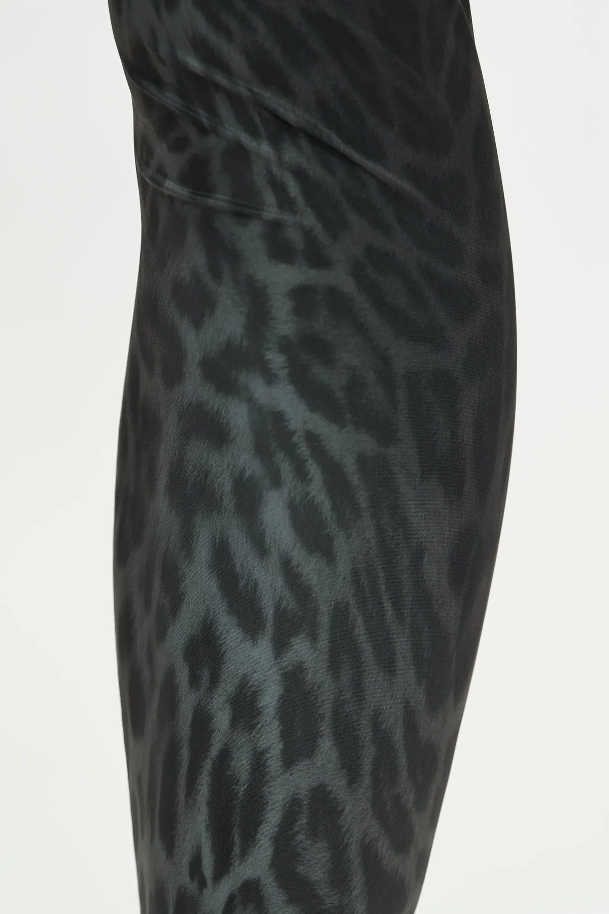Leopardi Print Pants
