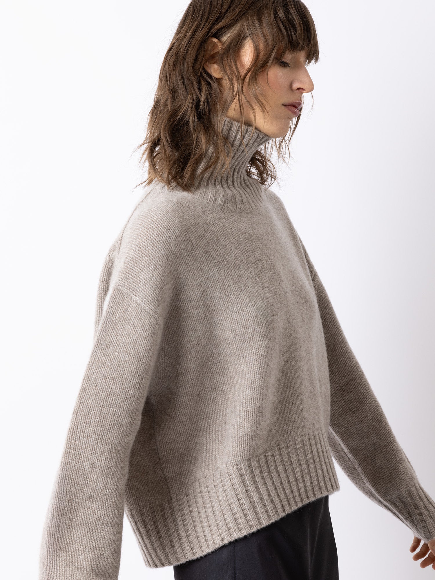 Cashmere Pullover Highneck