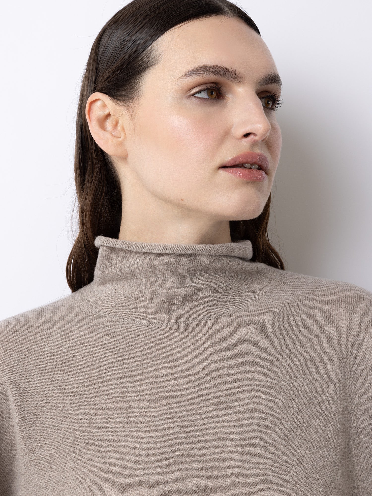 Pullover Highneck