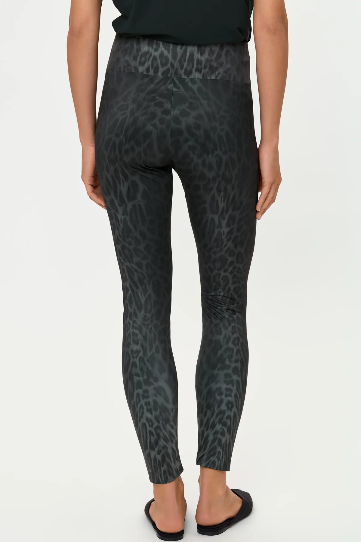 Leopardi Print Pants