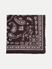 Cashmere Nele Scarf Big